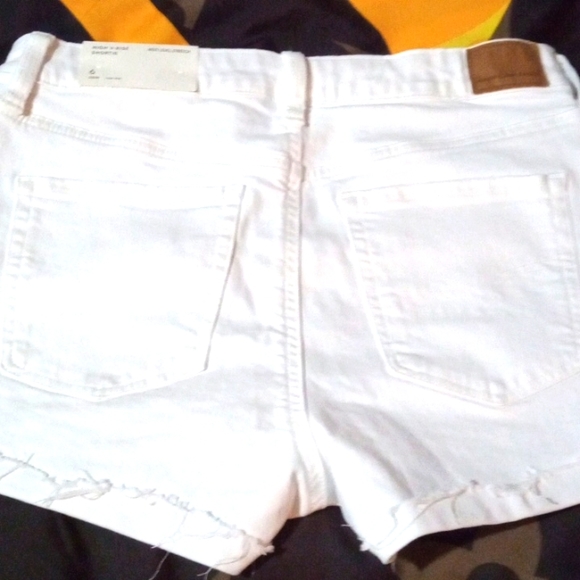 American eagle 🦅 - Picture 1 of 2